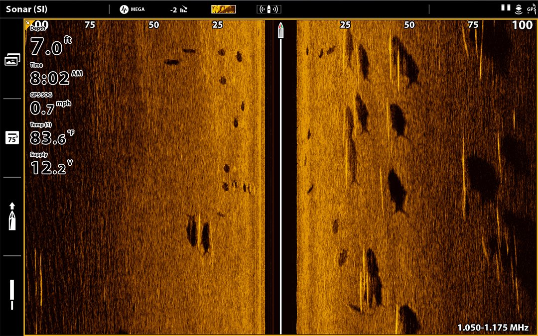 HumminbirdFish tweet media