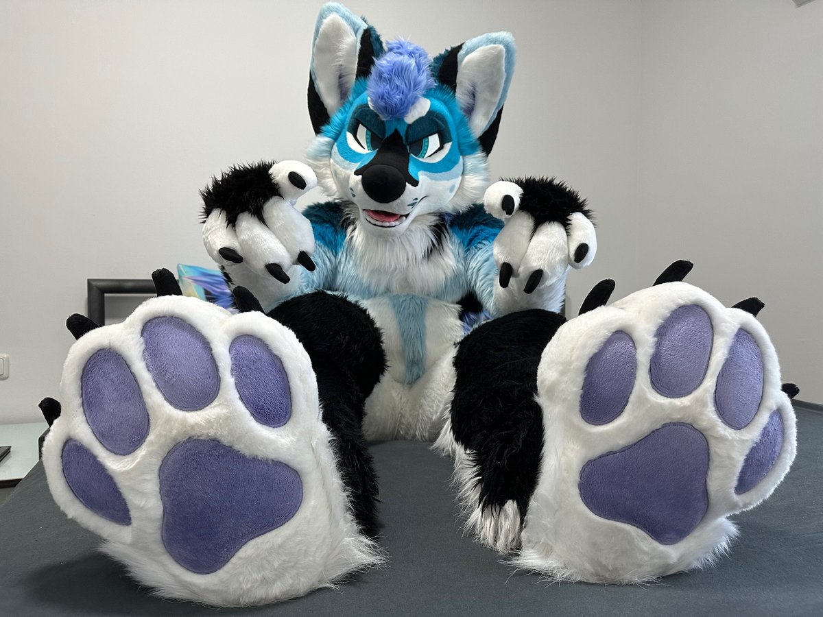 Cifer♦Jack♠️Darcus (@ciferjackal) on Twitter photo 🐾Would you like to meet me and my beans at the #Eurofurence?🐾
✂️ <a href="/Fionka_Fursuits/">🐈 Fionka Fursuits 🐈</a> #FursuitFriday 🐾Would you like to meet me and my beans at the #Eurofurence?🐾
✂️ <a href="/Fionka_Fursuits/">🐈 Fionka Fursuits 🐈</a> #FursuitFriday