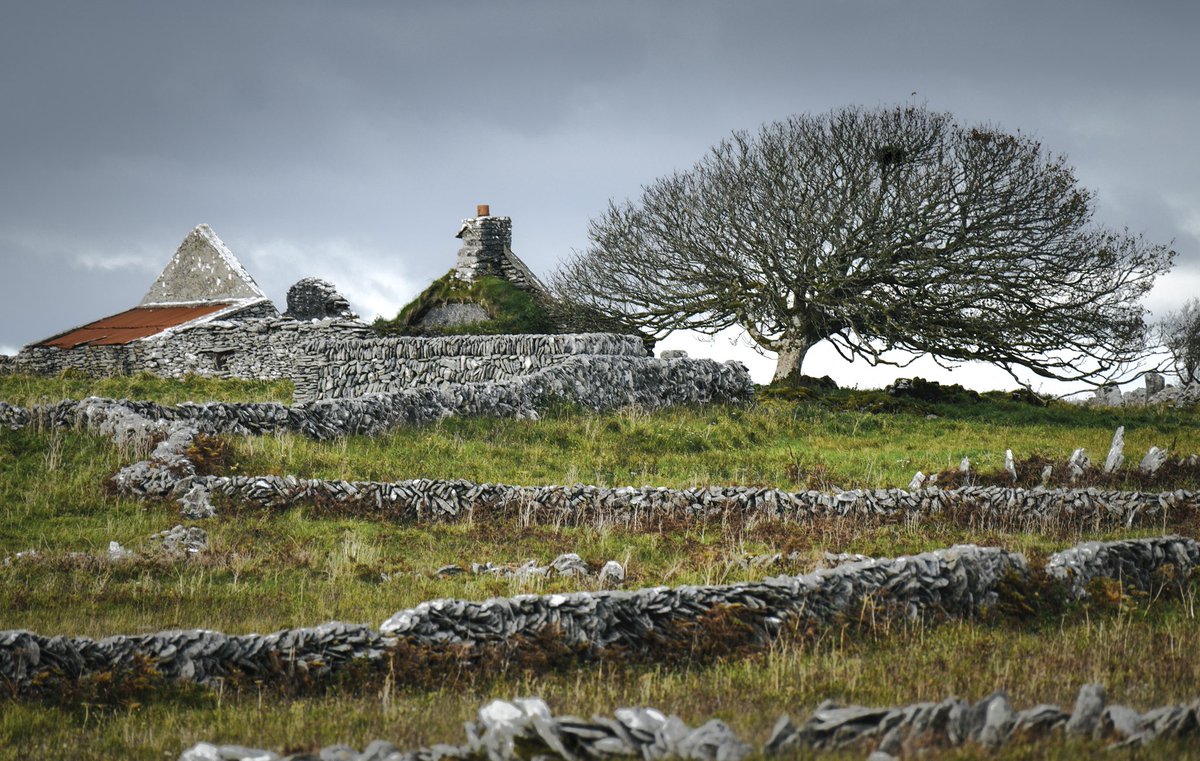 Lone nest and a rusty roof. The Burren, Co. Clare, Ireland. 
#coclare #ireland 
RTs always appreciated.