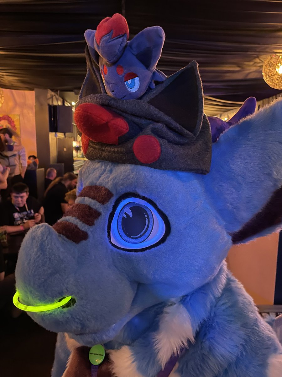 Happy #Fursuitfriday and Cyril decided to venture to a furmeet, got carried away glow sticks and also found himself a stowaway.

Fursuit by <a href="/Skyprocostumes/">Skyprocostumes🌻</a> 
#dutchangeldragon #fursuiter