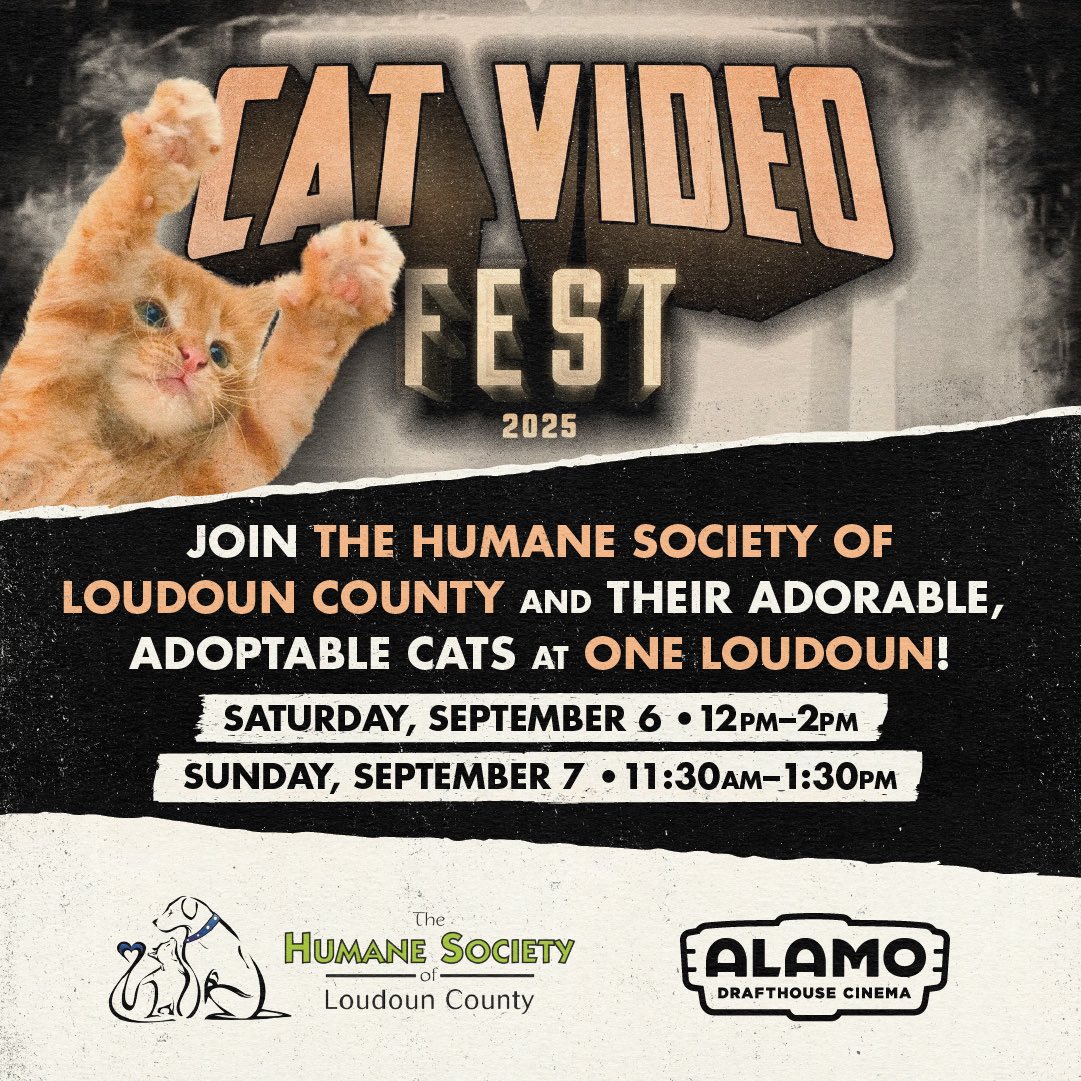 Alamo Drafthouse DC Area tweet media