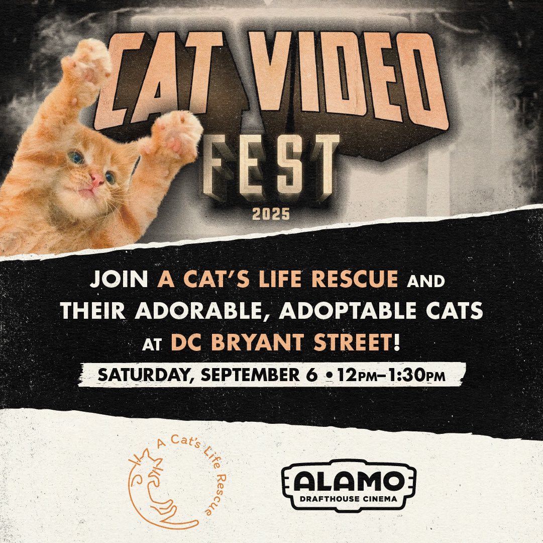 Alamo Drafthouse DC Area tweet media