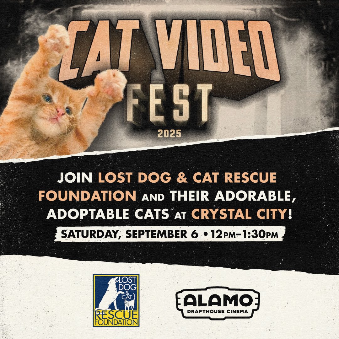 Alamo Drafthouse DC Area (@alamodc) on Twitter photo Cat adoption agencies are coming to all our locations for #CatVideoFest 2025! Get tickets right “meow” to support these great organizations… and see silly cat videos on the big screen 🐱
🎟️: drafthouse.com/show/catvideof…
<a href="/HumaneLoudoun/">Humane Society of Loudoun County</a> <a href="/acatsliferescue/">ACat'sLifeRescue</a> <a href="/lostdogrescue/">Lost Dog & Cat Rescue</a> <a href="/CatVideoFest/">ᑕᗩT ᐯiᗪE0 ᖴEᏕT 😺</a> Cat adoption agencies are coming to all our locations for #CatVideoFest 2025! Get tickets right “meow” to support these great organizations… and see silly cat videos on the big screen 🐱
🎟️: drafthouse.com/show/catvideof…
<a href="/HumaneLoudoun/">Humane Society of Loudoun County</a> <a href="/acatsliferescue/">ACat'sLifeRescue</a> <a href="/lostdogrescue/">Lost Dog & Cat Rescue</a> <a href="/CatVideoFest/">ᑕᗩT ᐯiᗪE0 ᖴEᏕT 😺</a>