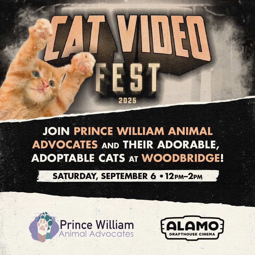 Alamo Drafthouse DC Area tweet media