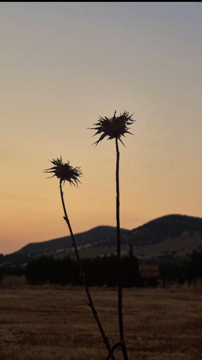 Antonio J. 🟥⬜️ (@antonioja) on Twitter photo 