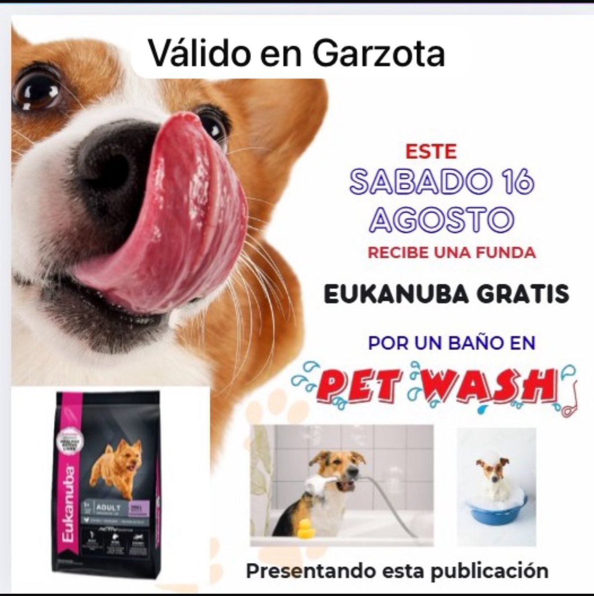 Pet_Wash's tweet photo. Este sábado el spa de tu perrito viene con obsequio https://t.co/8JaS6boMLp