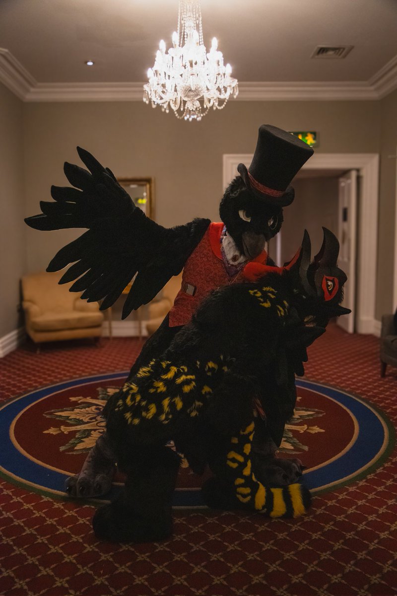 Rani ✨ (@ranibirb) on Twitter photo I can't handle all these handsome birds....
Thank god <a href="/Forlorn_Raven/">A Forlorn Raven</a> caught me in his wings
#FursuitFriday
📸@/jasper_the_canis (insta) I can't handle all these handsome birds....
Thank god <a href="/Forlorn_Raven/">A Forlorn Raven</a> caught me in his wings
#FursuitFriday
📸@/jasper_the_canis (insta)