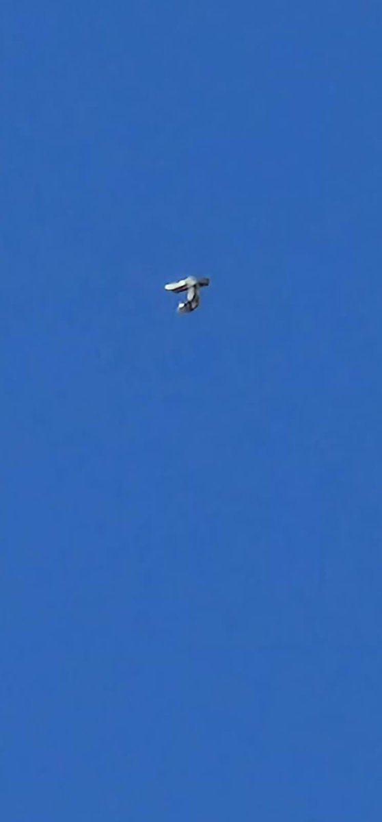 Theshinbone's tweet photo. #ufo #uap @chrisramsay52 @AlchemyAmerican UFO spotted in ascot england today! https://t.co/sW0GfeBuKz