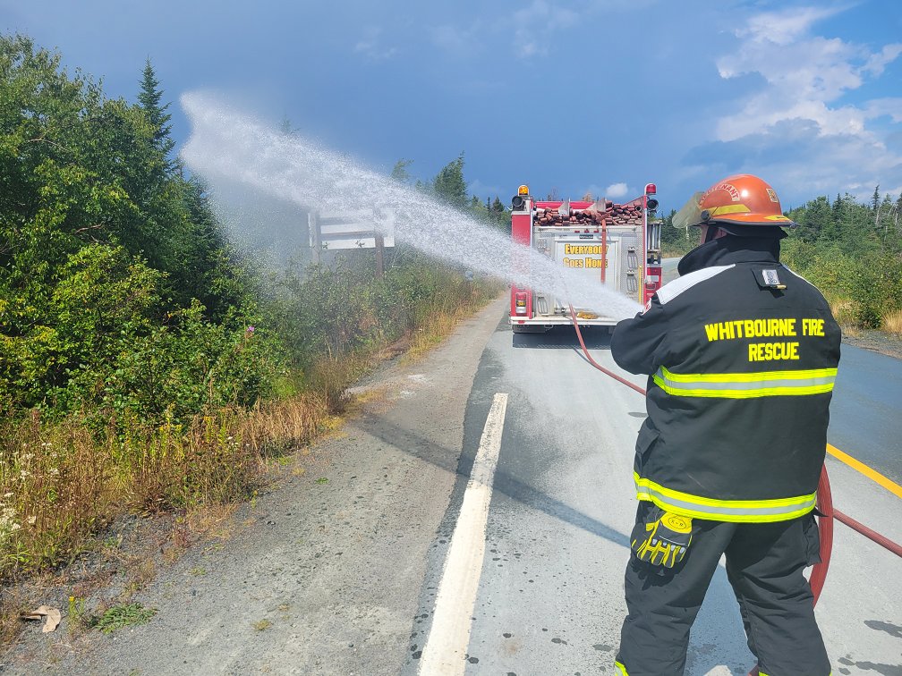 RCMPNL's tweet photo. RCMP NL pleads with motorists not to toss their butts after discarded cigarette sparks small fire near Whitbourne - https://t.co/kv77zJ6D4i https://t.co/Kzm4Yb8rGU
