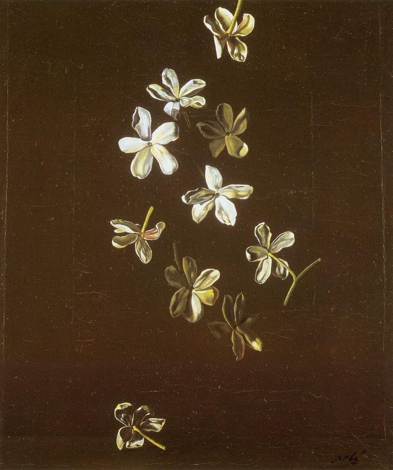サルバドール・ダリ （Salvador Dali、1904-1989） 『ジャスミンの