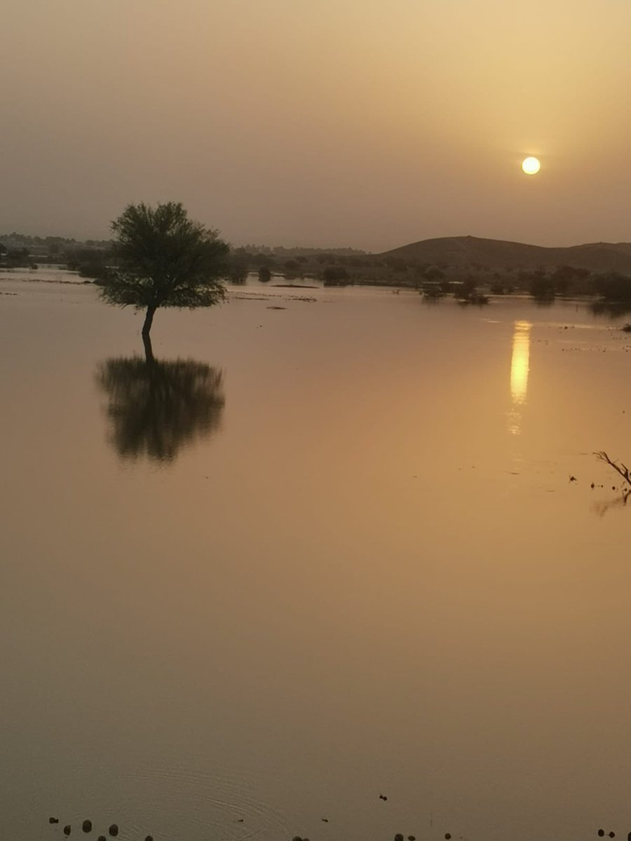 عامل الناس ..
 وكأنك تتصفح كتاب  ، تتجاهل
 السخيف وتمزق السيء ..
وتتوقف عند الأجمل .
#صباح_الخير_و_السعادة