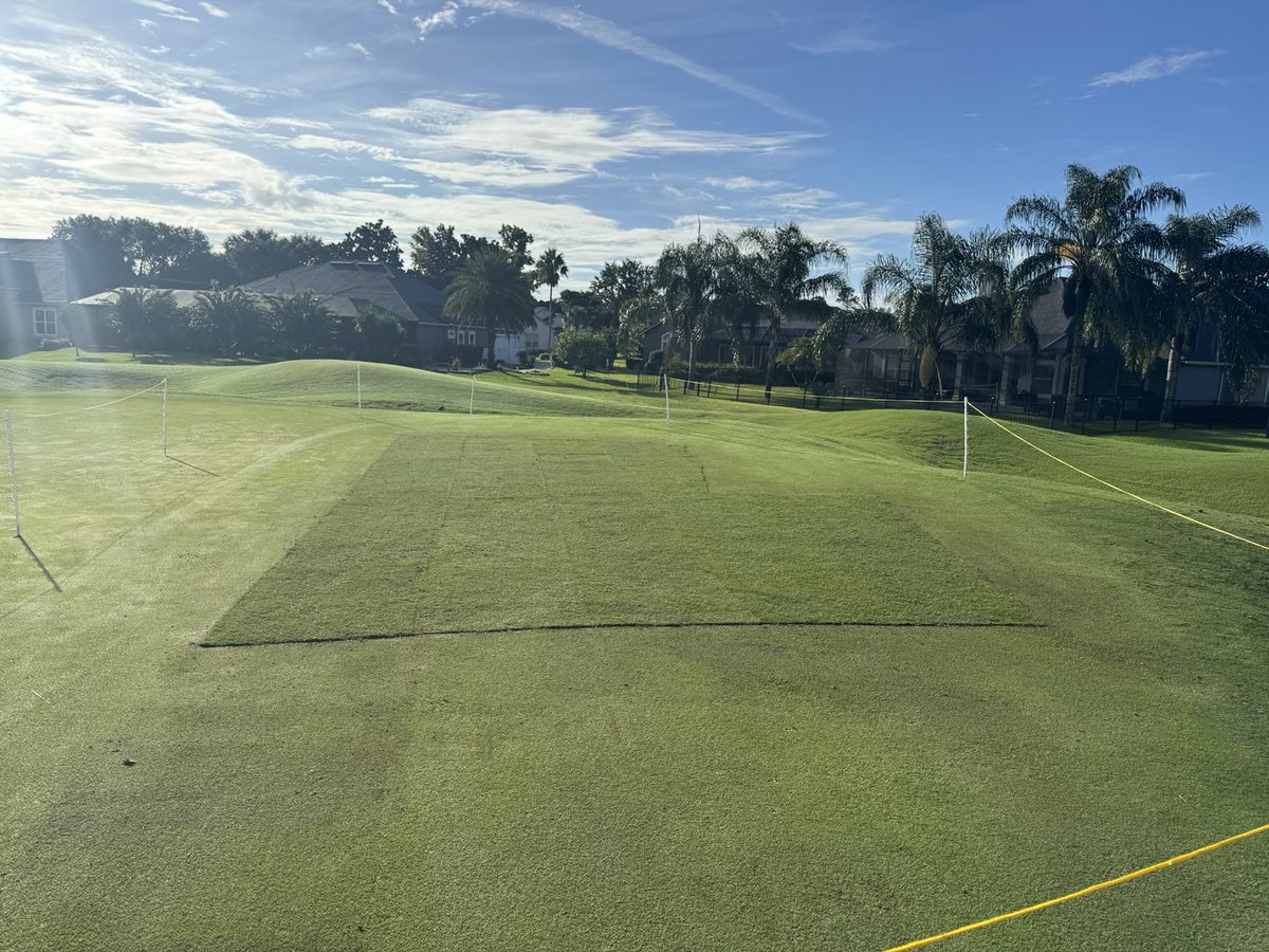 David B Levin tweet media