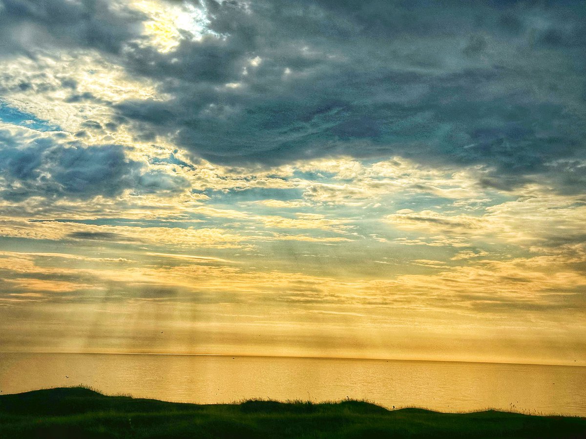 Mark the Caddie tweet media