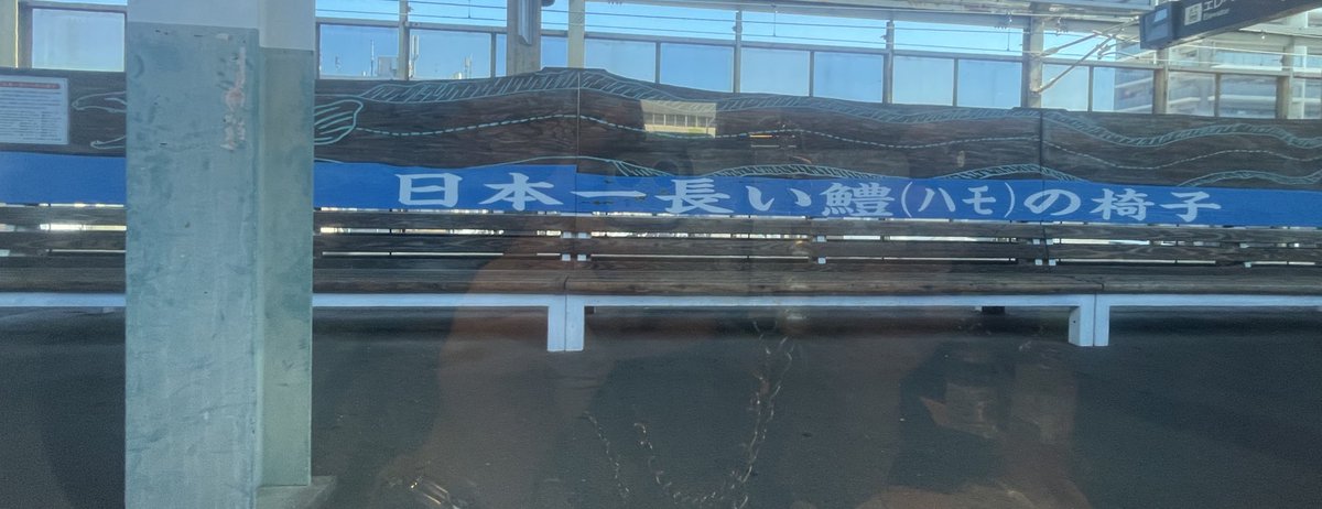 特急に乗り換え✨
乗ったソニックは綺麗な青🟦
中津のハモ長過ぎて顔隠れた🤭