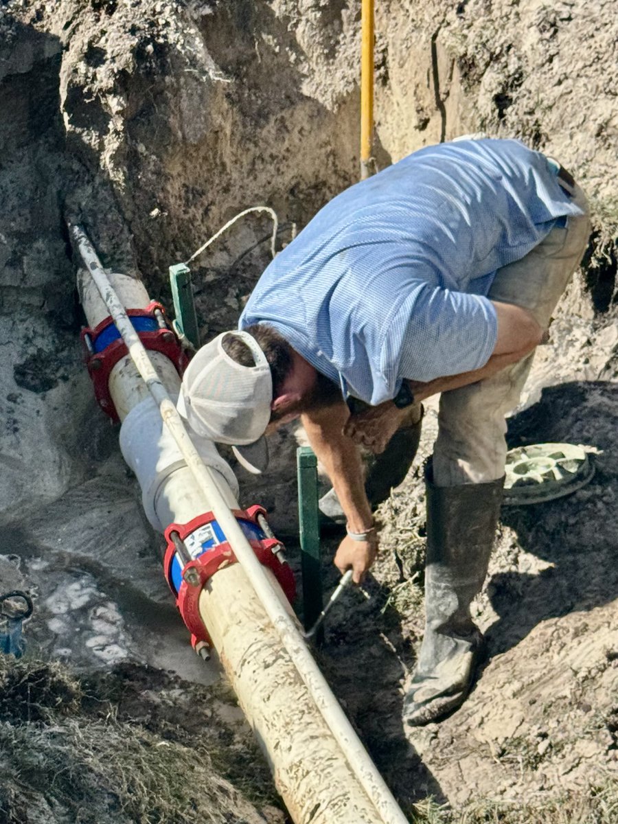 David B Levin tweet media