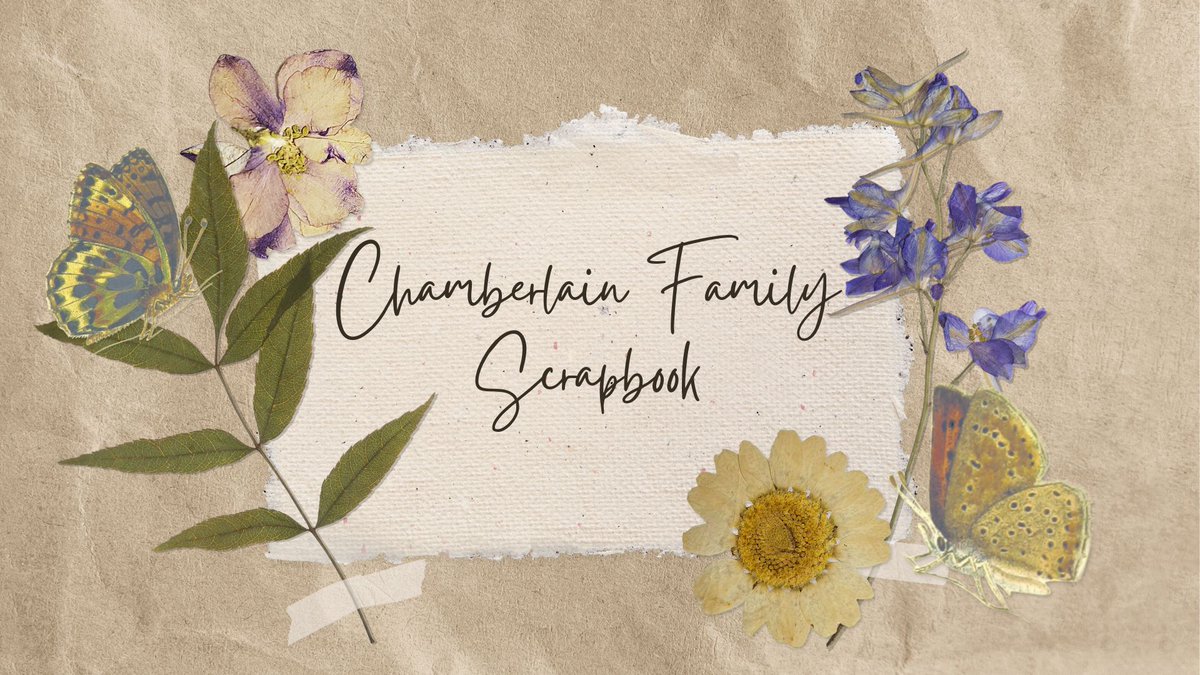 kit 🪿 tweet media