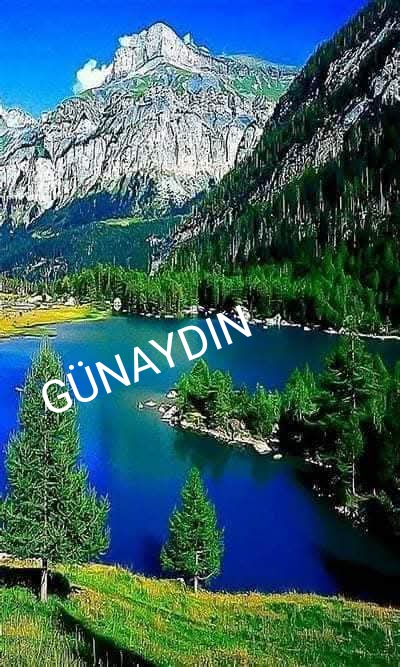 Sedat Arslan (@sedatar37734319) on Twitter photo 