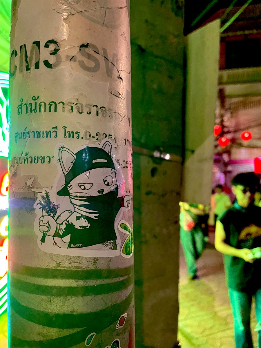 NO WAR ⚠️💥
NO SCAMBODIA 🇰🇭❌
.
We Thai people love peace.🇹🇭❤️🤍💙
#catzaway