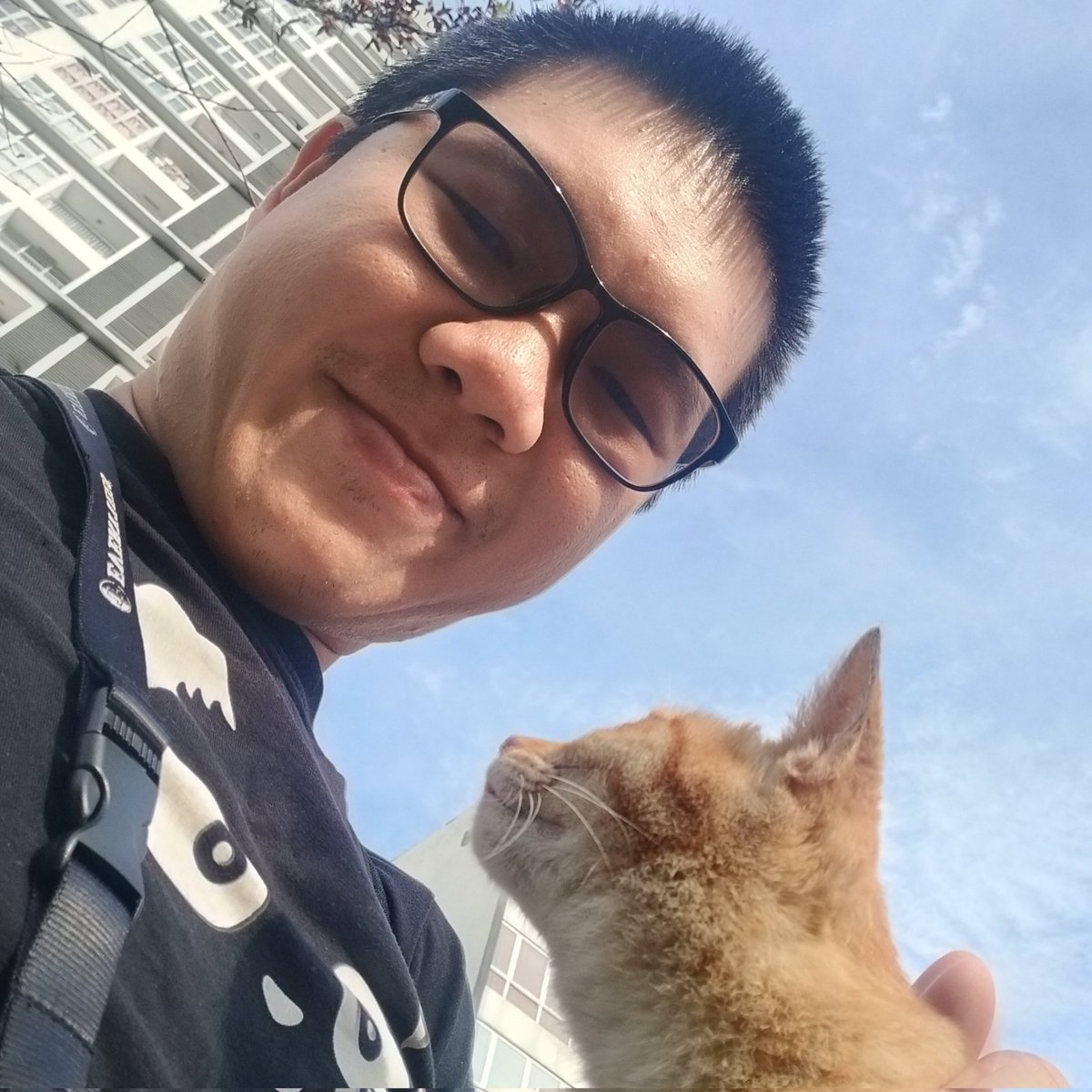 met this cutie outside the workplace parking 😻