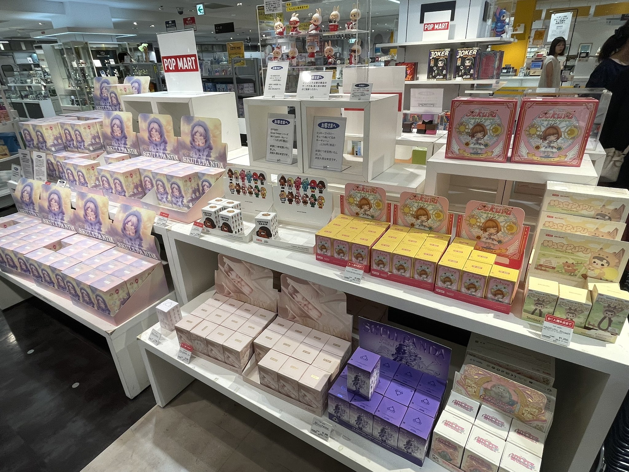 アル✨春爛漫[トイ•プードルファミリーのお花見] ☆里親様募集中です☆ はーとinはーとzrの預かり家族の投稿