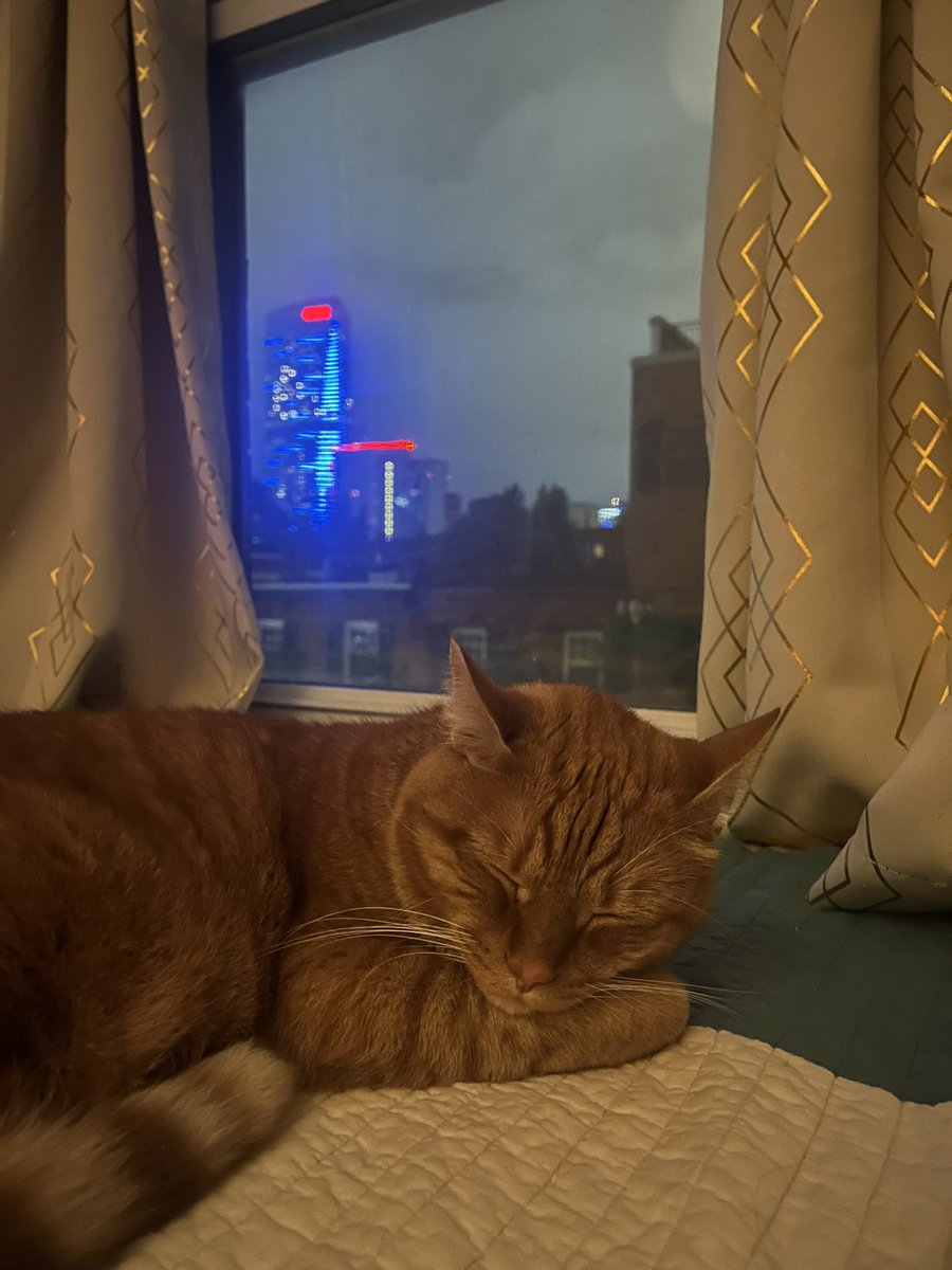 big city dreamin’