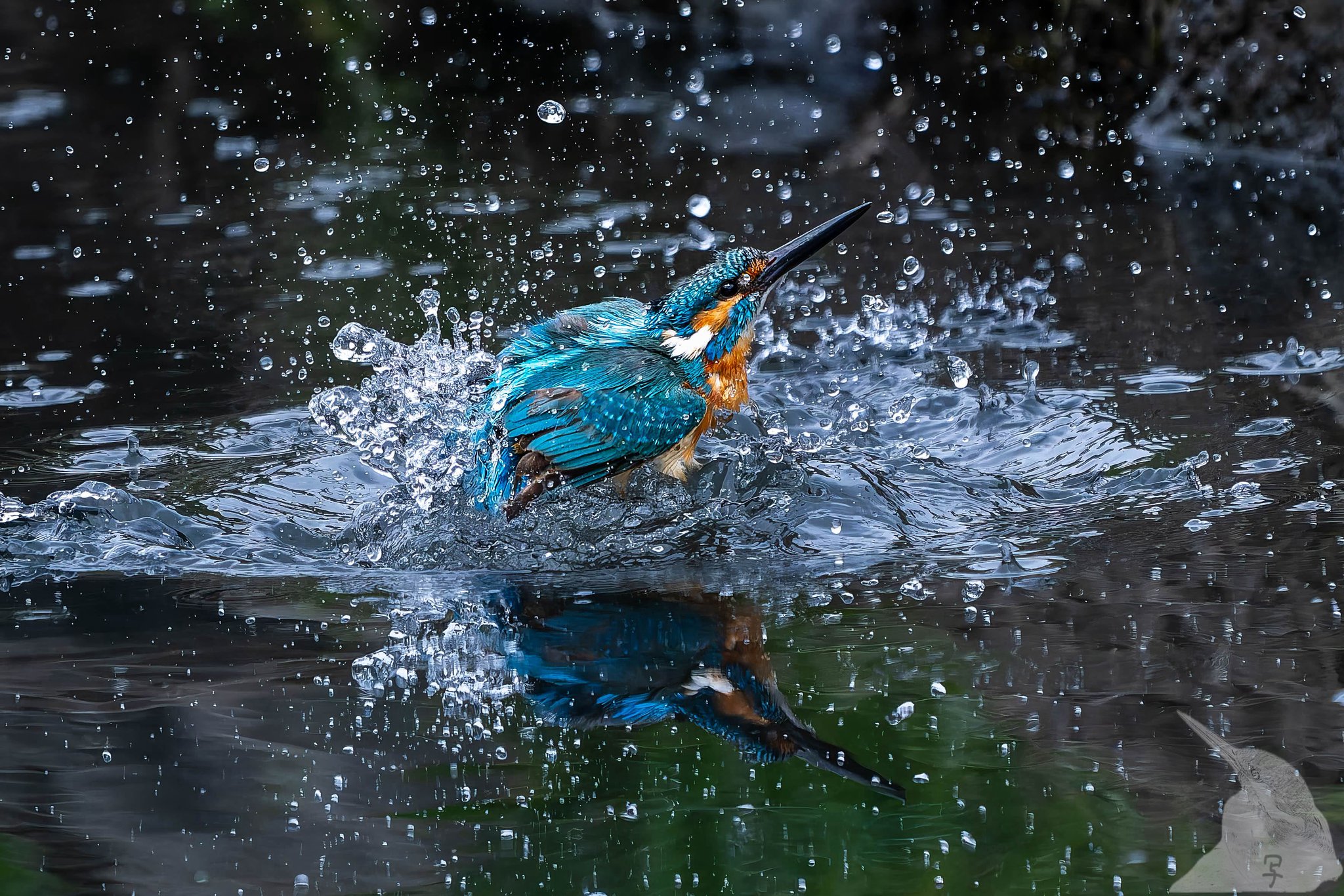 青い顔の人物画 鳥付き ゆるキャラマスコット日本人 の マスコット青い鳥、灰色、白
