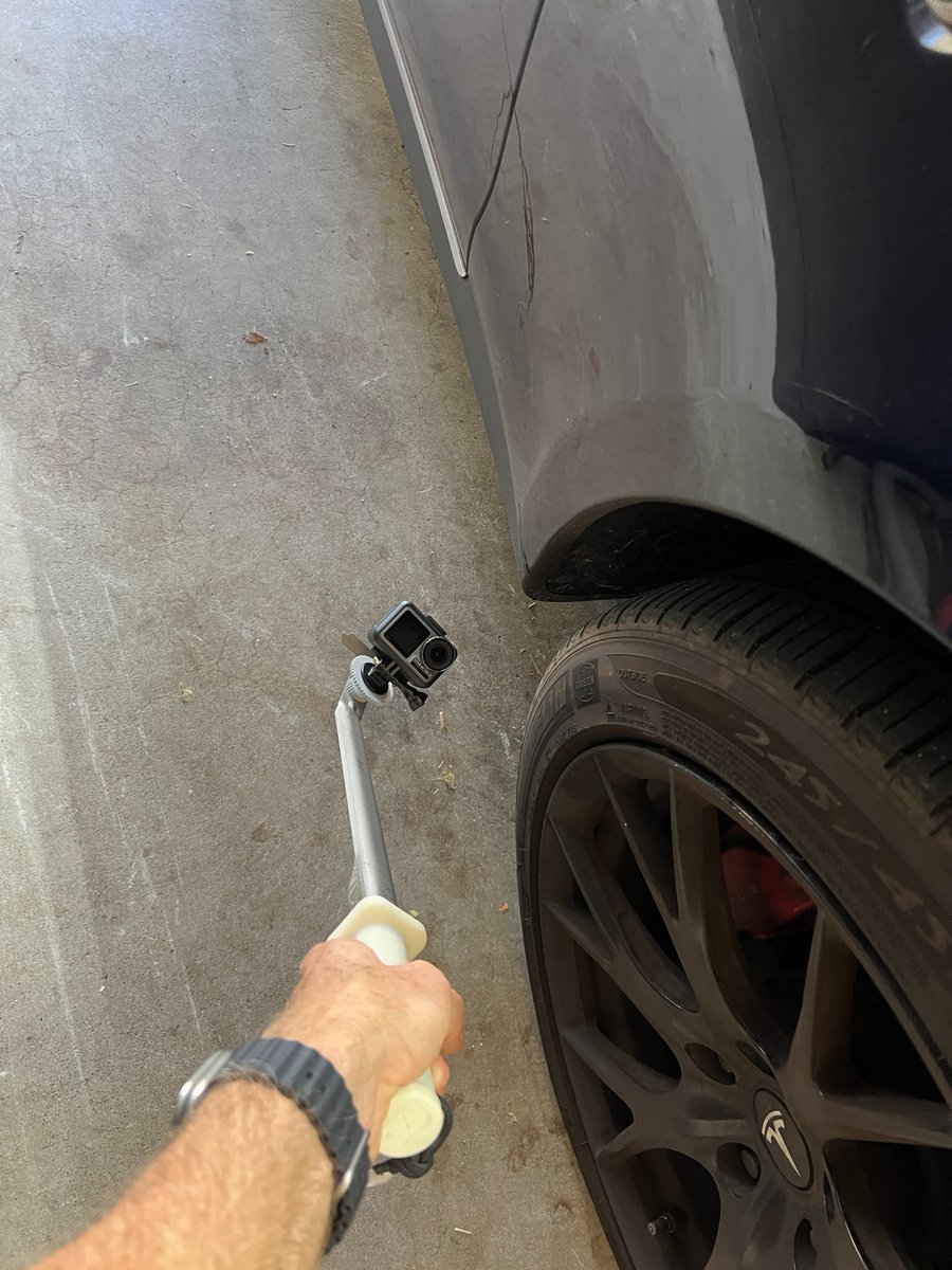 Pooch @Repkord tweet media