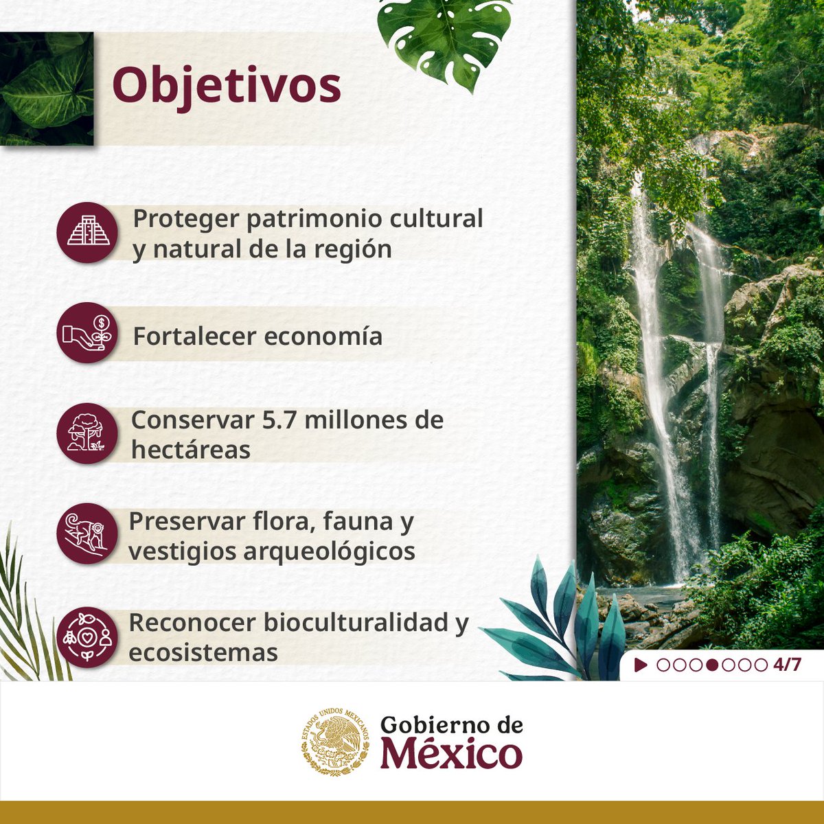 Con mucho entusiasmo anunciamos que México, Guatemala y Belice firman la Declaración de Calakmul: Corredor Biocultural Gran Selva Maya.