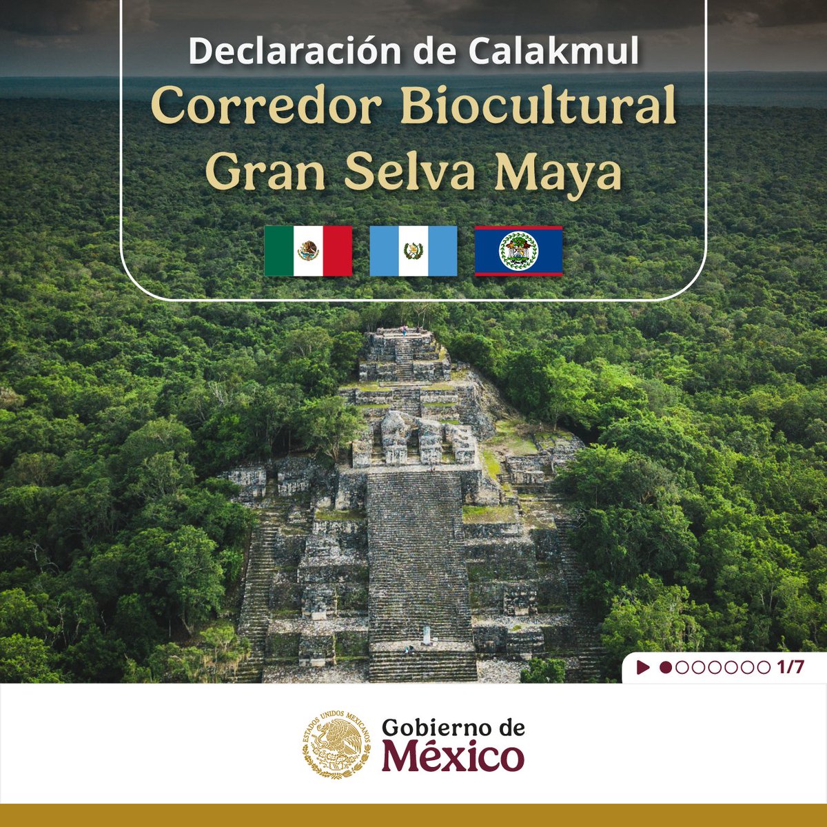 Claudia Sheinbaum Pardo tweet media