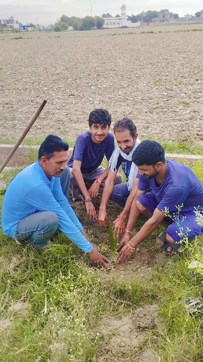 संत MSG की प्रेरणा से डेरा सच्चा सौदा अनुयायियों ने पेड़ लगाकर जश्न मनाने का अद्भुत उदाहरण पेश किया। 14-15 अगस्त को हुए #MegaTreePlantation अभियान ने दुनिया भर में हरियाली और पर्यावरण संरक्षण का संदेश फैलाया। 🌱🌏 #PlantForFuture