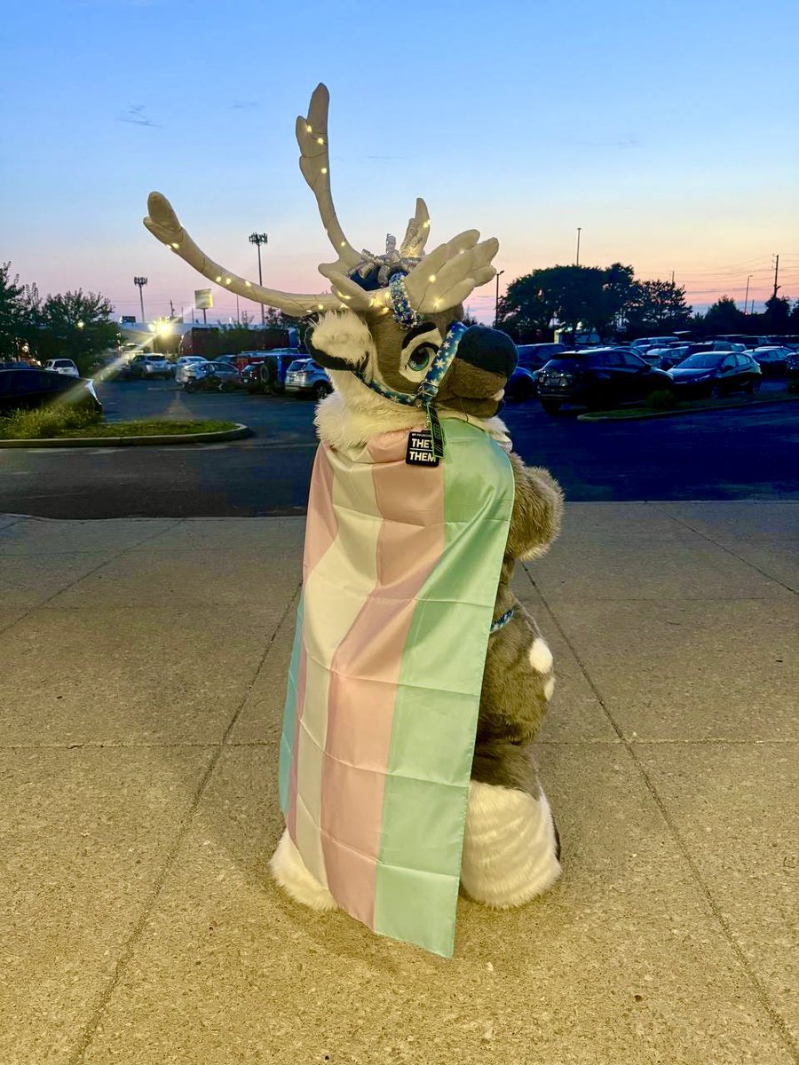 ❄️Aspen the Bou❄️ (they/he) 🏳️‍⚧️Θ∆ 🔜AC tweet media