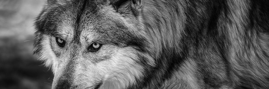 inmortalcrypto's tweet image. "I'll retire after this cycle" - No.

No matter what the number in my bank account is, I love this.

Crypto literally saved me, and I'll be in the order books until my last breath.

We live, breathe, love, and die here.