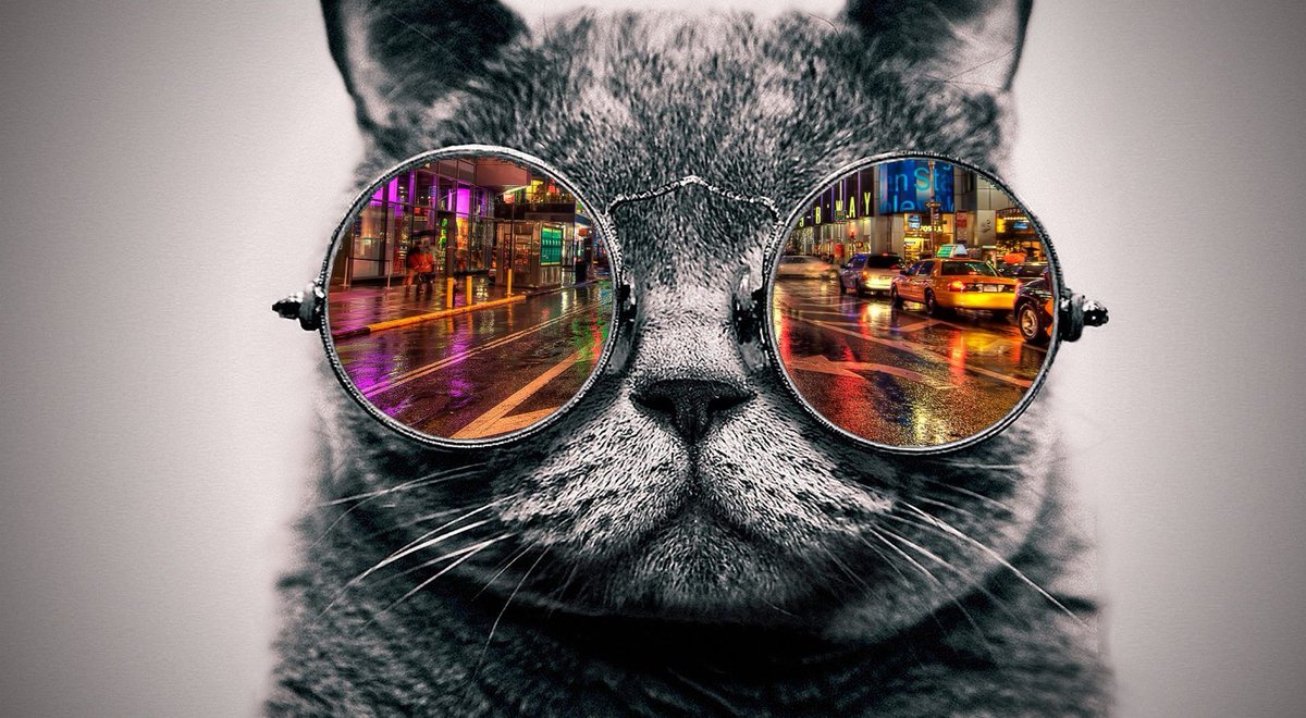 katja_markovic's tweet photo. @ysiu @coolcats @Moca_Network @animocabrands @Mocaverse_xyz LFG cool cat fam 😉 Make NFTs Meow again!
@Clara197063 @MarcBrewers @FlorineT1987 https://t.co/dQ2OvphpBt