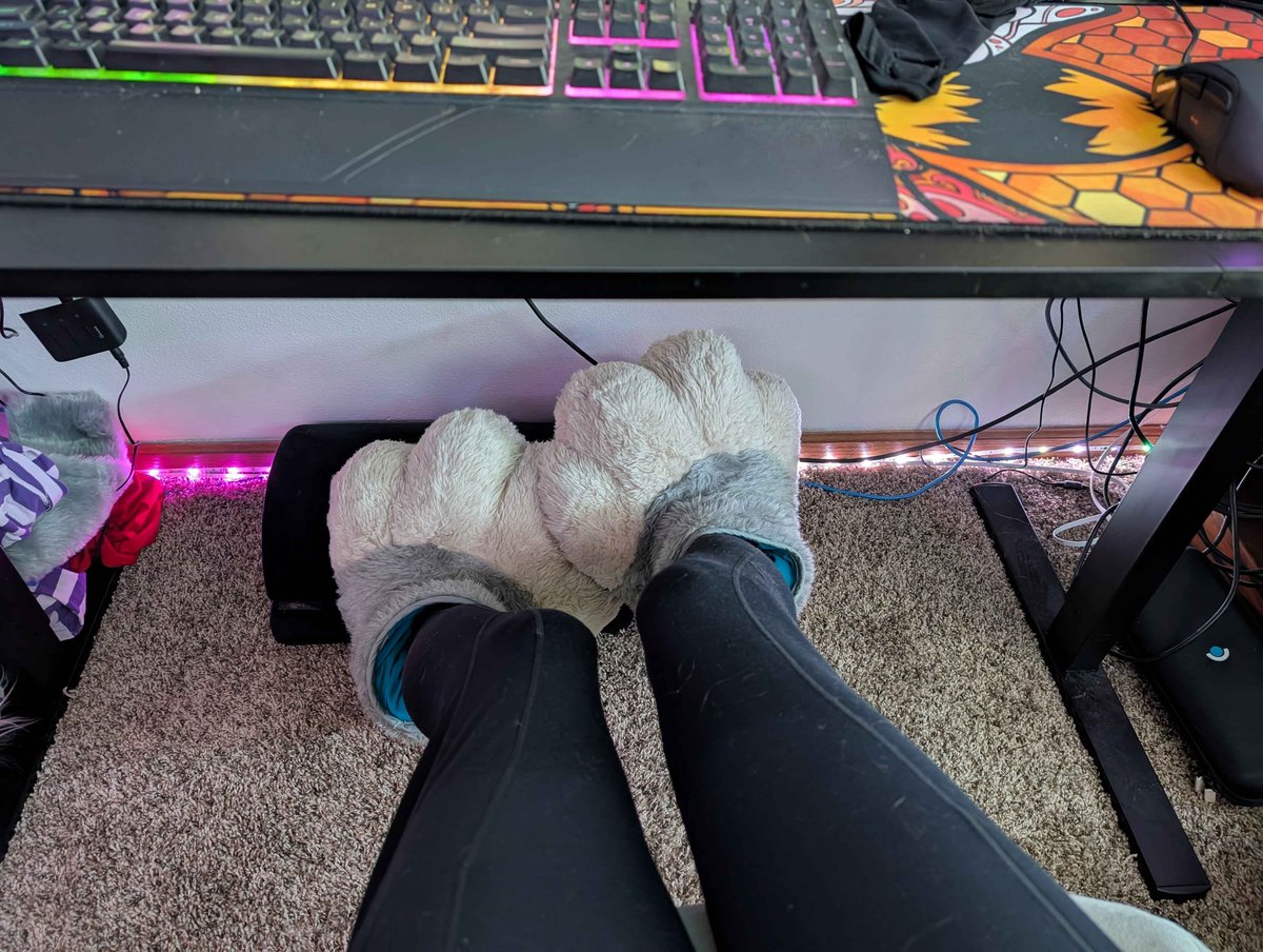 kitty gameing time~