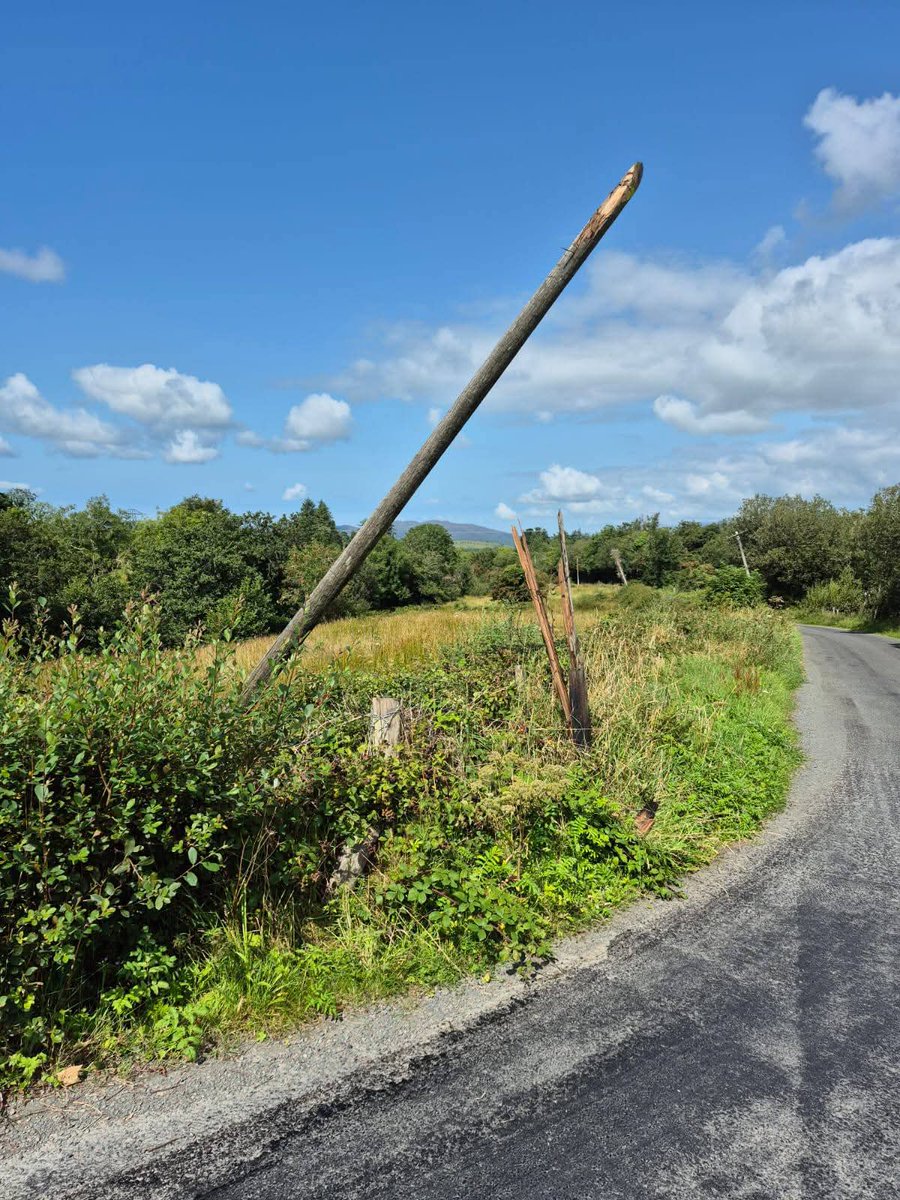 Save Leitrim tweet media