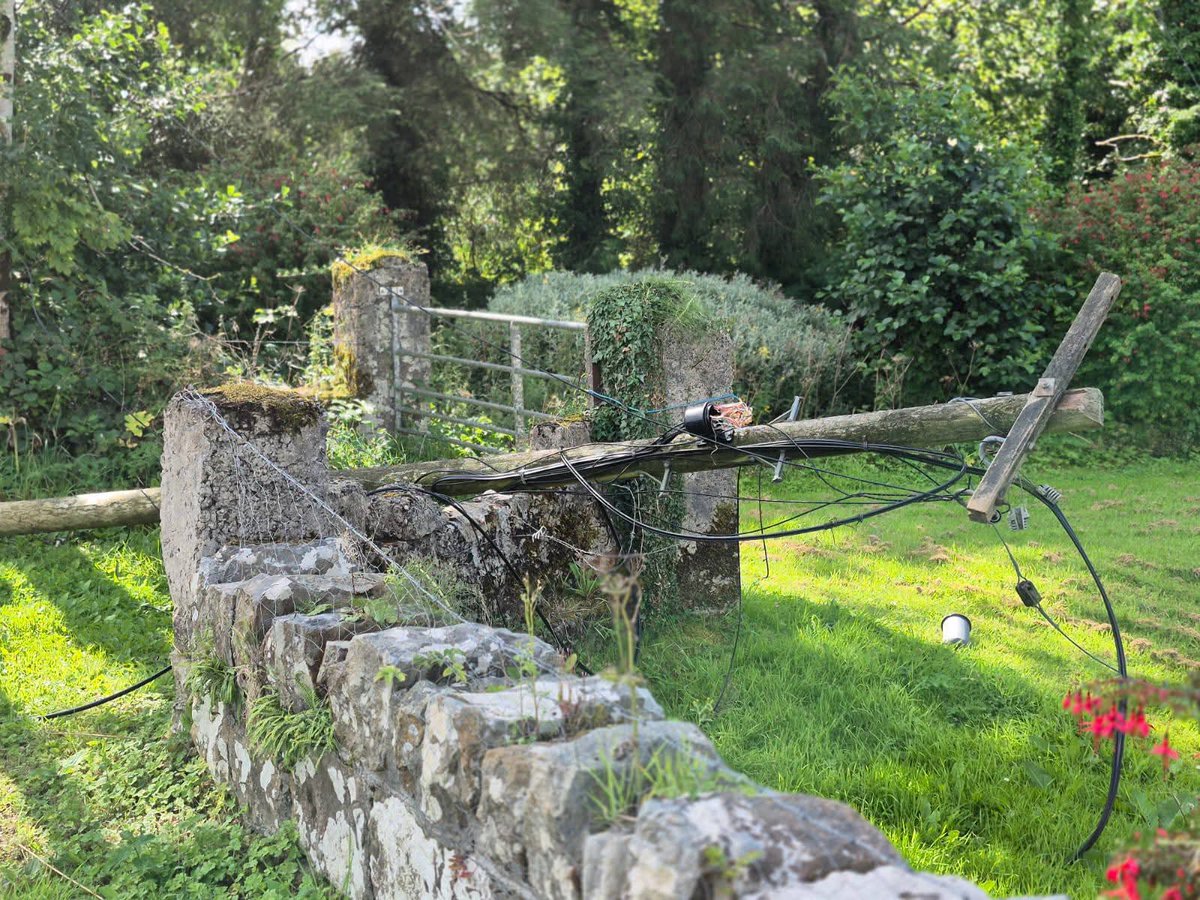 Save Leitrim tweet media