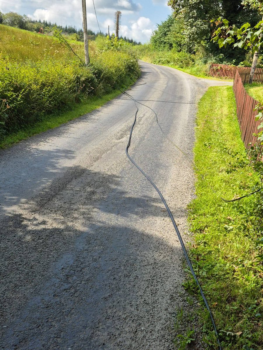 Damage by a timber lorry in #Leitrim Wednesday evening...roof damaged on elderly couple's home as the phone cables were torn from the house connection, 2 poles broken &amp; 📞 wires left lying on road...driver didn't even stop. ❌️🌲 <a href="/MHealyRae/">Michael Healy-Rae</a> <a href="/agriculture_ie/">Dept of Agriculture, Food and the Marine</a> <a href="/LeitrimLive/">Leitrim Observer / Leitrim Live</a>
