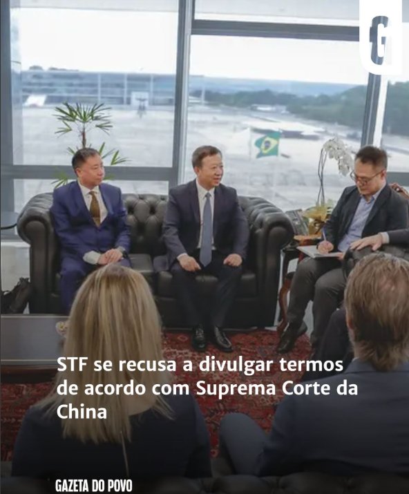 Fernanda Salles tweet media