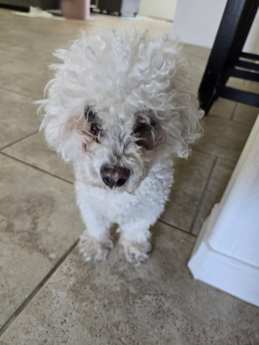 Cpt.Blade tweet media