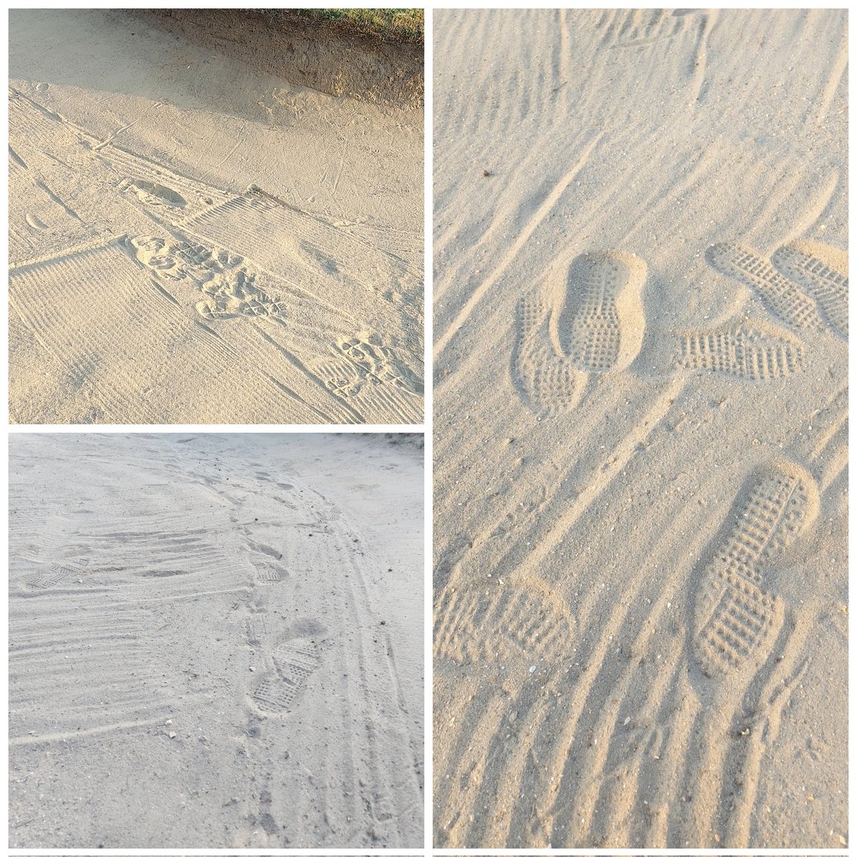 Kim Mundy 🏌🏼‍♀️ tweet media