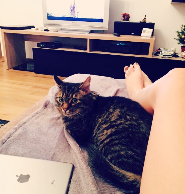 Kascsxack's tweet image. A bowl of cat food and a sofa make up a long afternoon.