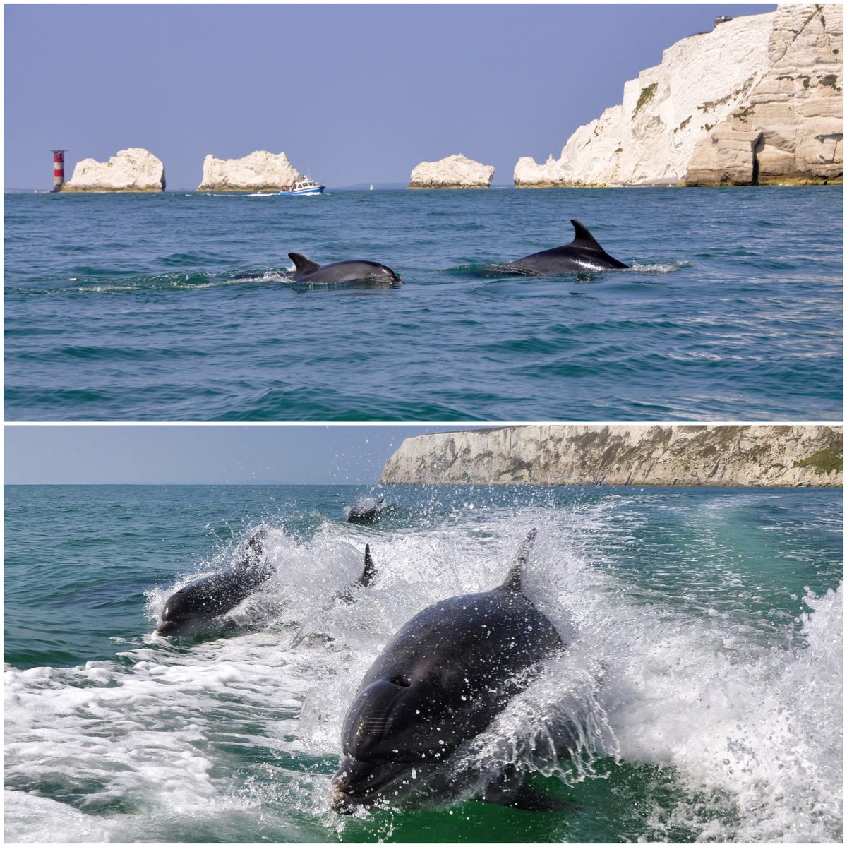 Not my photos, but taken today around the island. So blessed to live in such a beautiful place😍