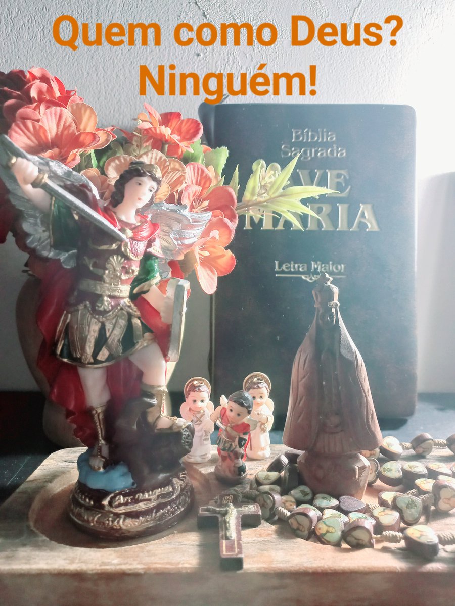 GionBR's tweet image. Iniciando 40 dias com São Miguel Arcanjo 🙏
#ExércitoDeSãoMiguel
#QuemComoDeus

Defendei-nos no combate ⚔️