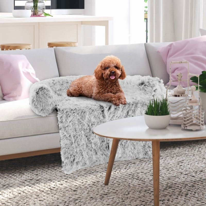 Barkstreets's tweet photo. Plush Calming Dog Couch Bed

https://t.co/Gsac1VDUV5

#dogbed #dogsofinstagram #petbed #comfydog #doglovers #doglife #sleepydog #cozydog #dogcomfort #petcomfort https://t.co/MmqskCQxli