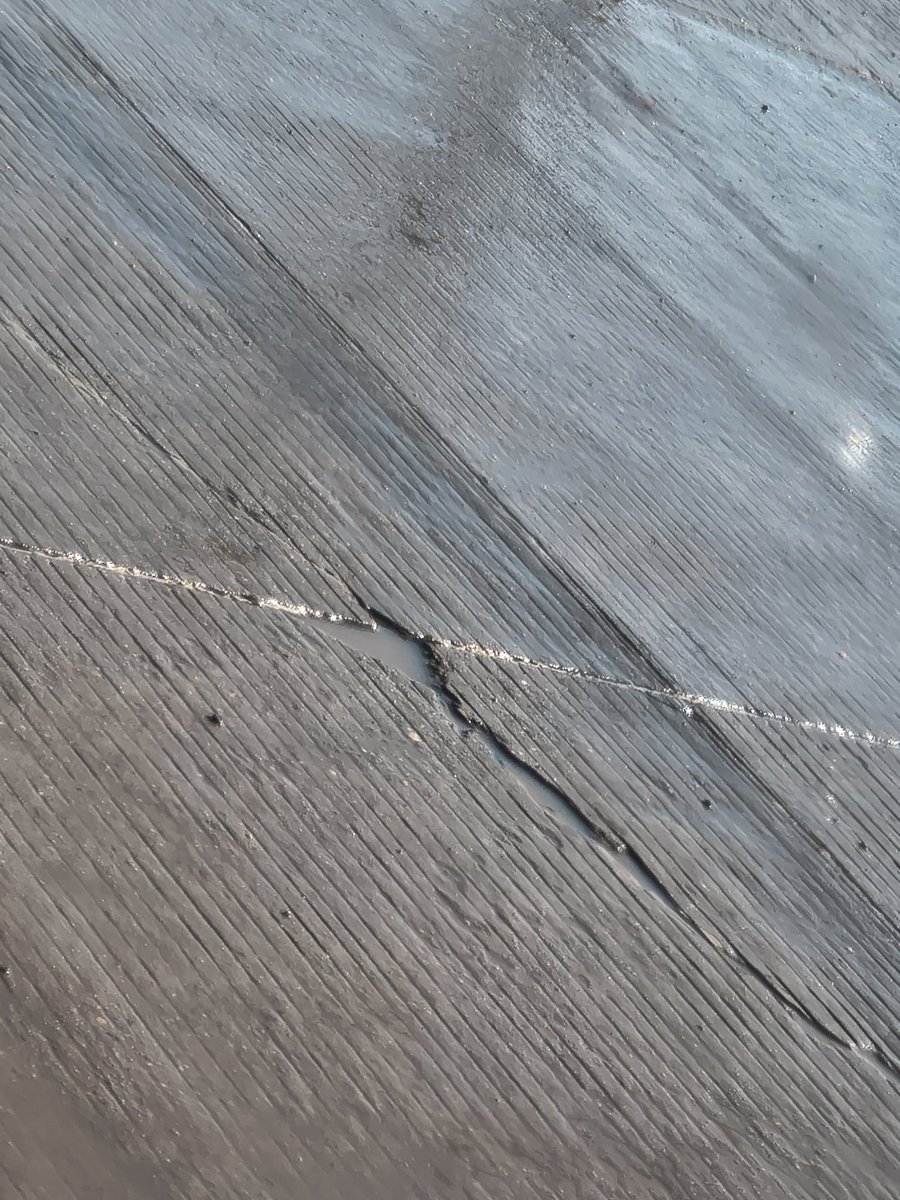 fernando tweet media