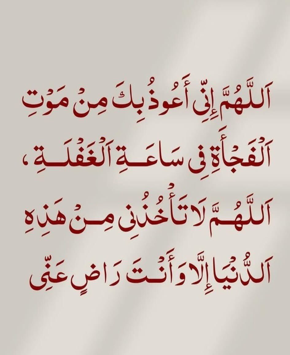 ayaGama86877383's tweet photo. 📌 https://t.co/orJAm1Mgso