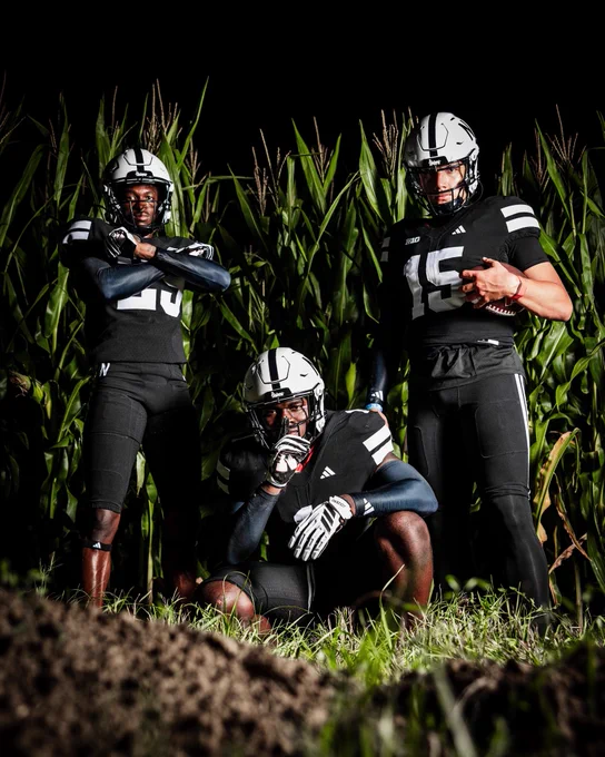 Image from Big Ten Conference (@bigten)