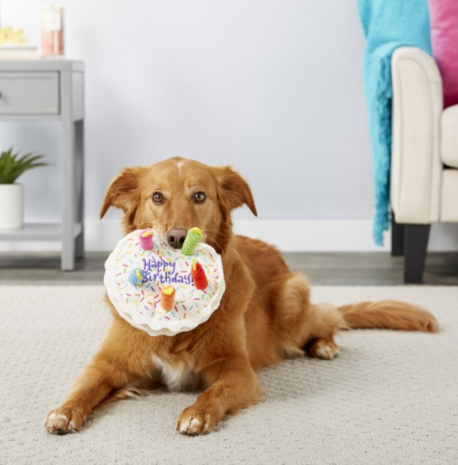 Barkstreets's tweet photo. Plush toys; pets gnawing bones; sounding toys; teeth cleaning; dog toys

https://t.co/AFZTZy4Pbi

#dogtoy #dogplaytime #puptoys #dogfun #chewtoy #puppyplay #dogtreattoy #doglovers #furrykid #happydog https://t.co/gMVkwMVX8V