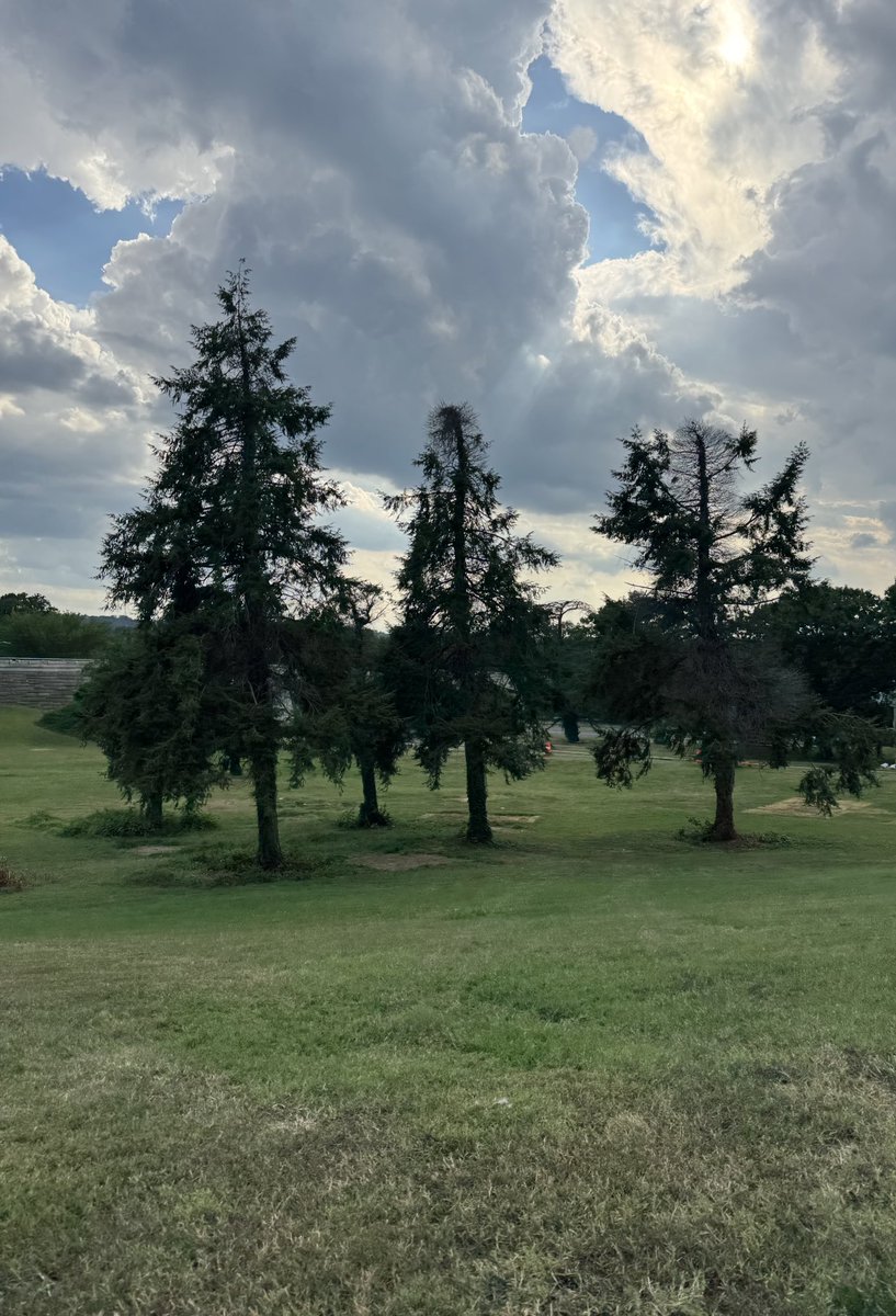 Dylan Johnson (@realdylanmo) on Twitter photo America’s Capital: UNDER NEW MANAGEMENT 🧼🧹
<a href="/POTUS/">President Donald J. Trump</a> took control of Washington on Monday and by Friday, this lovely campsite along the National Mall has been REMOVED. America’s Capital: UNDER NEW MANAGEMENT 🧼🧹
<a href="/POTUS/">President Donald J. Trump</a> took control of Washington on Monday and by Friday, this lovely campsite along the National Mall has been REMOVED.