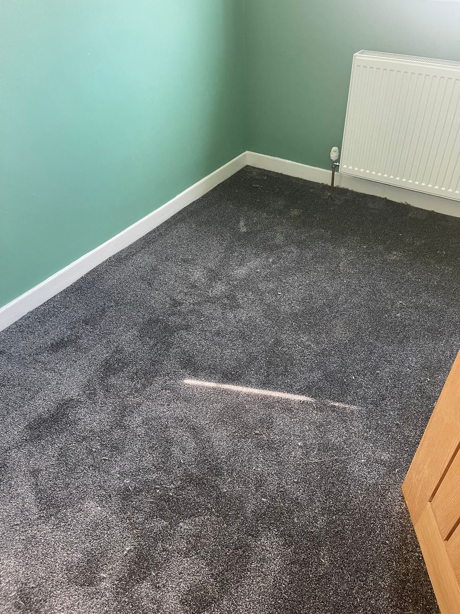 Carpets and more 😎